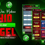Arti dan Makna Shio dalam Togel: Apa Pengaruhnya pada Hasil?