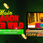 Main Dragon Tiger Wild Makin Seru di Live Casino CERI711 Terpercaya!