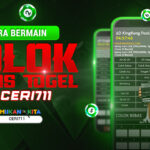 Cara Bermain Colok Bebas Togel Di Ceri711